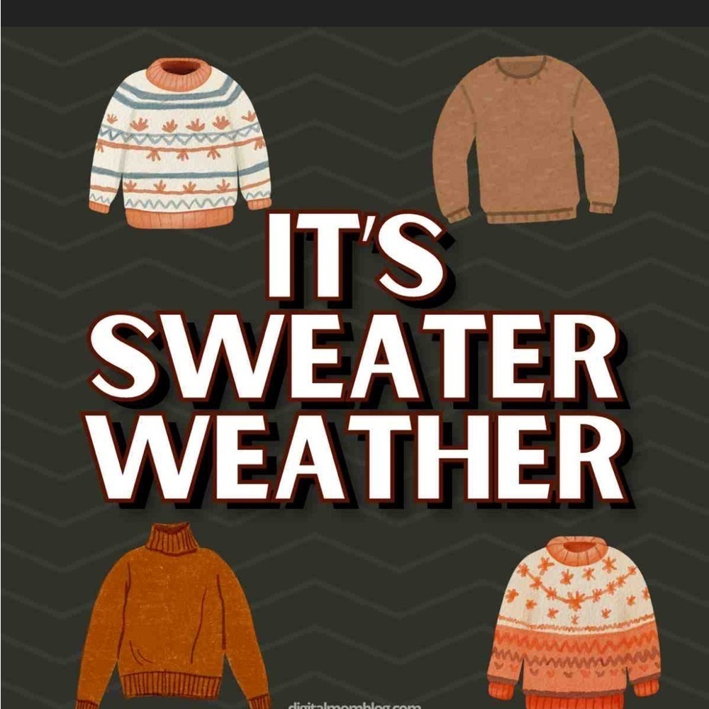 🧣🧥🧤